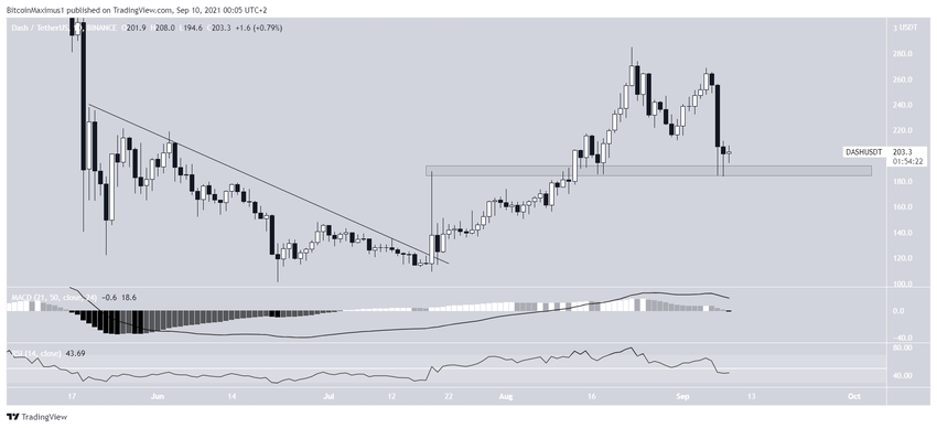 DASH support альткоинов