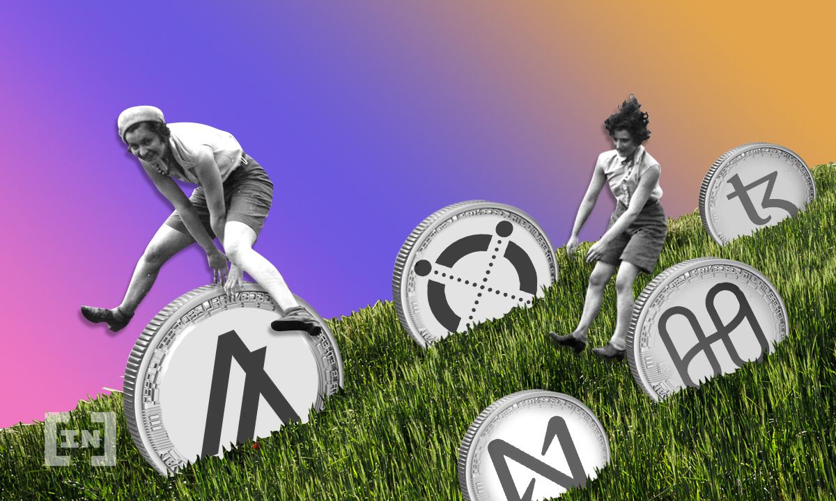 ALGO, NEAR e XTZ: para onde vão as melhores da semana