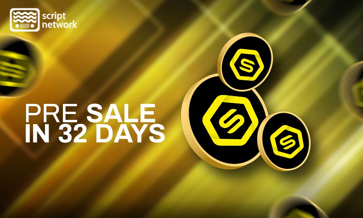 Stellar, Hedera and Script Network Leads The Charge Out Of The Bear Market