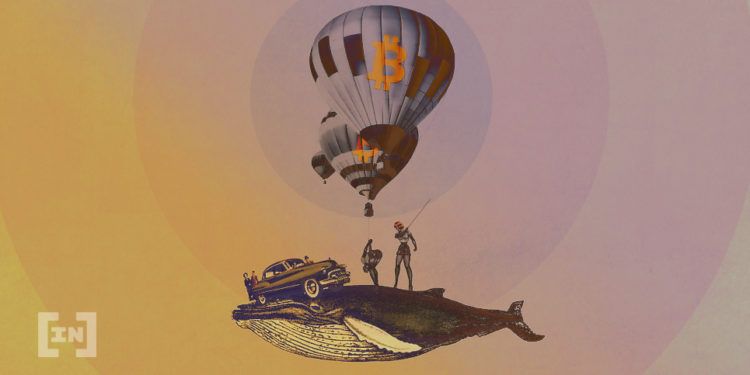 Bitcoin wieloryby | pl.beincrypto.com