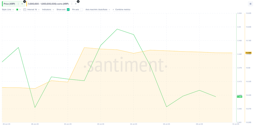 Bilans portfeli wielorybów Ripple