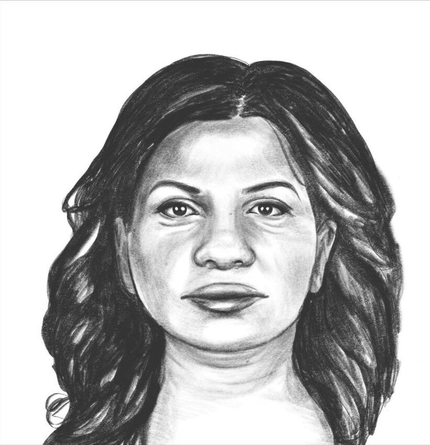 Onecoin Ruja Ignatova Sketch #5 TradingPedia