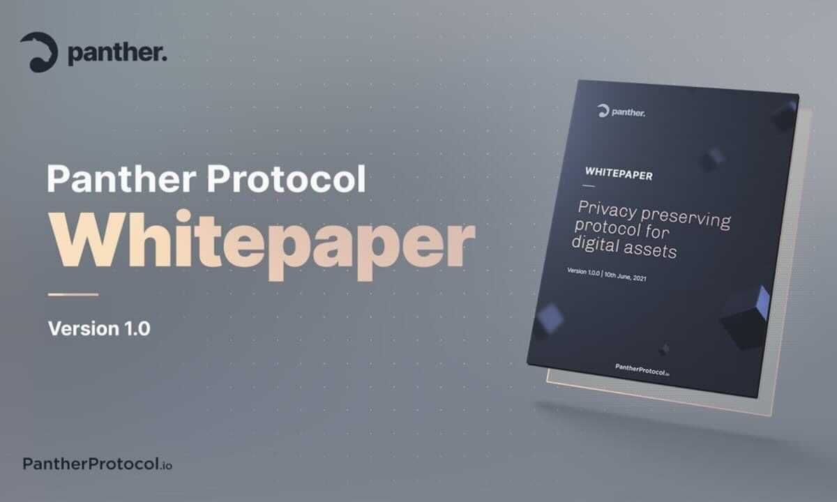Panther Protocol Releases Whitepaper for  DeFi Privacy Solution