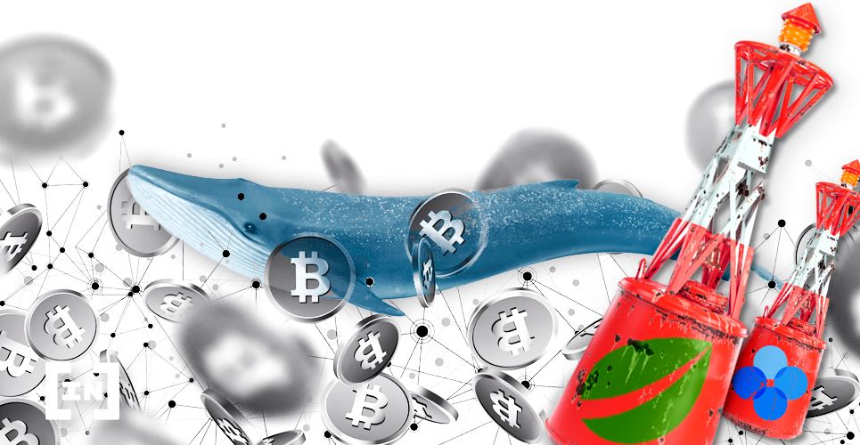Trigger-Happy Bitcoin Whales Send $24 Million in BTC to Two Exchanges