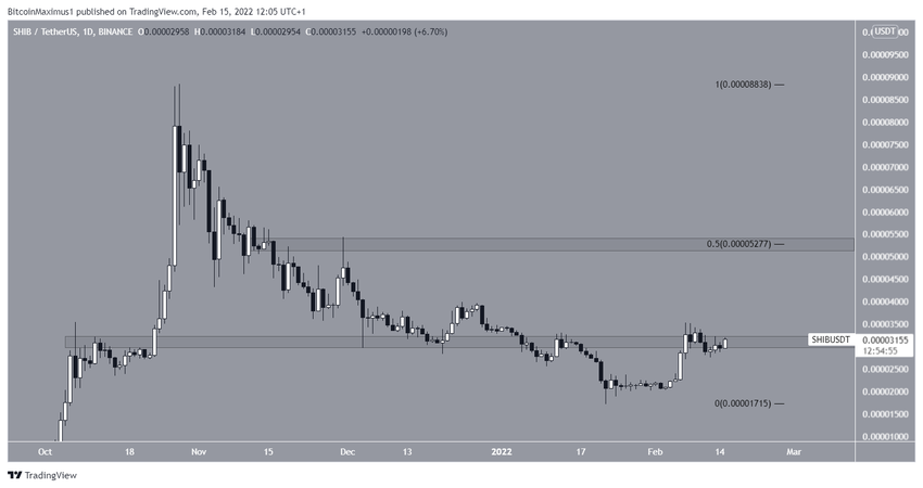 SHIBA INU wykres dzienny