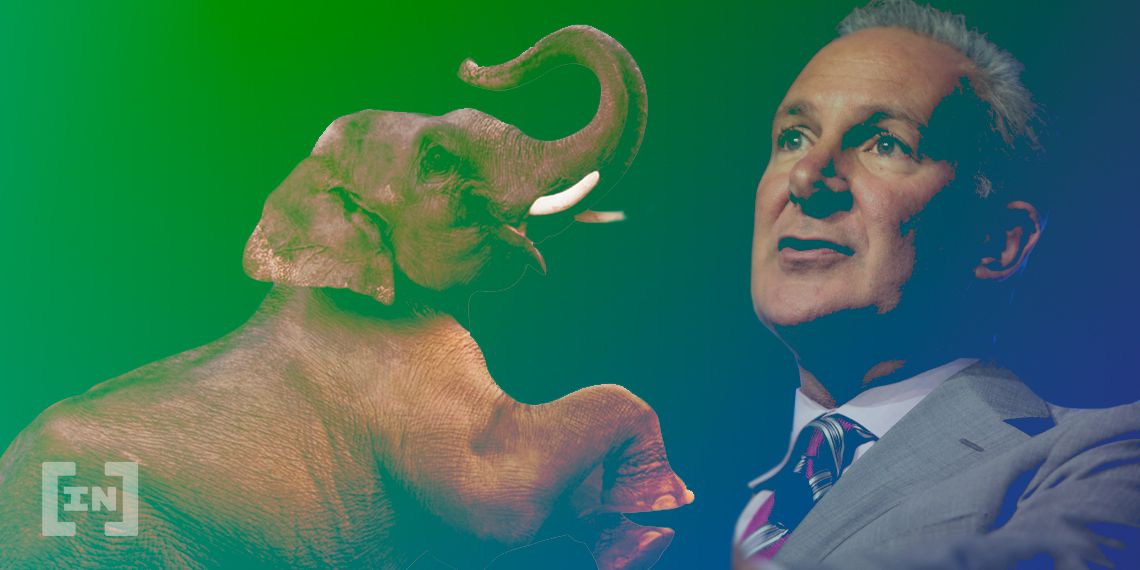 Peter Schiff Becomes Target in Tax Evasion Probe, Denies Wrongdoing: Report