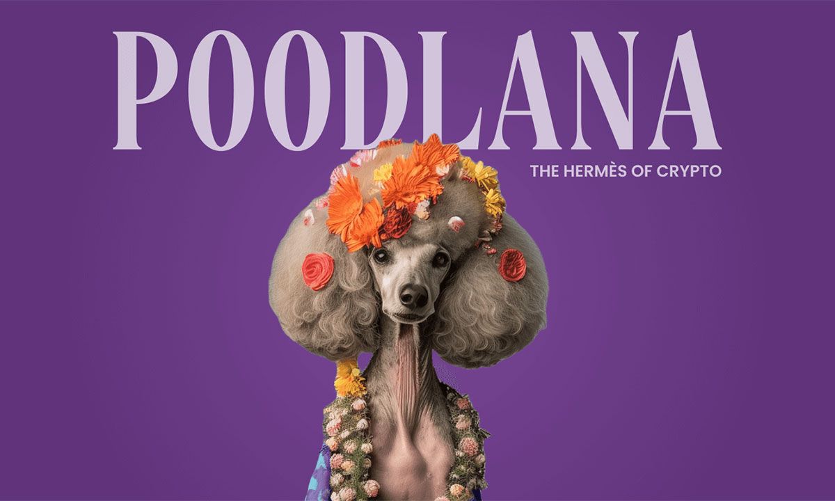 7日でゼロから 210万ドル へ＝Poodlanaの止まらない成長