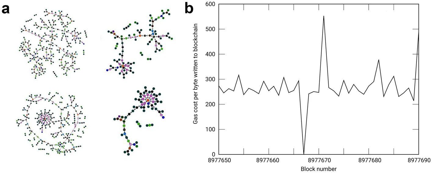 Przykłady przejawów życia - sieci blockchain