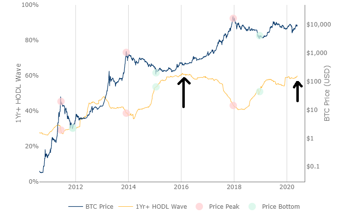 Estatísticas indicam um HODL de 60%