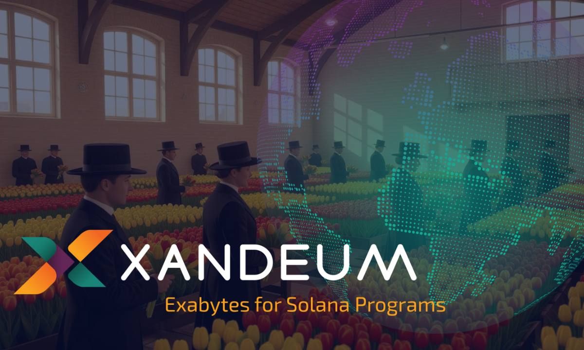 Xandeum Announces Upcoming pNode Dutch Auction: Empowering Decentralized Storage on Solana