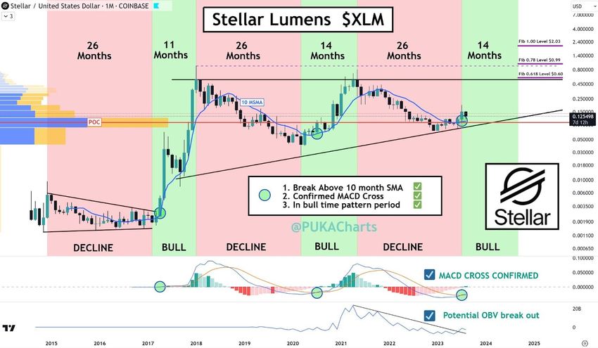 Long-term XLM analysis