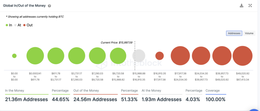 Adresy hodlerów BTC w zysku i stracie