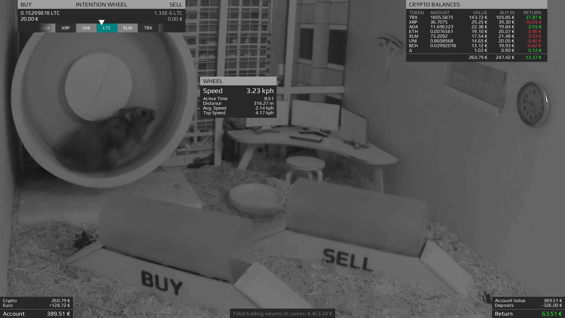 Криптохомяк Mr. Goxx