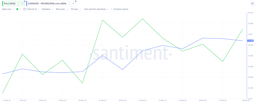 Cardano (ADA) Whales Accumulation, March 2023.