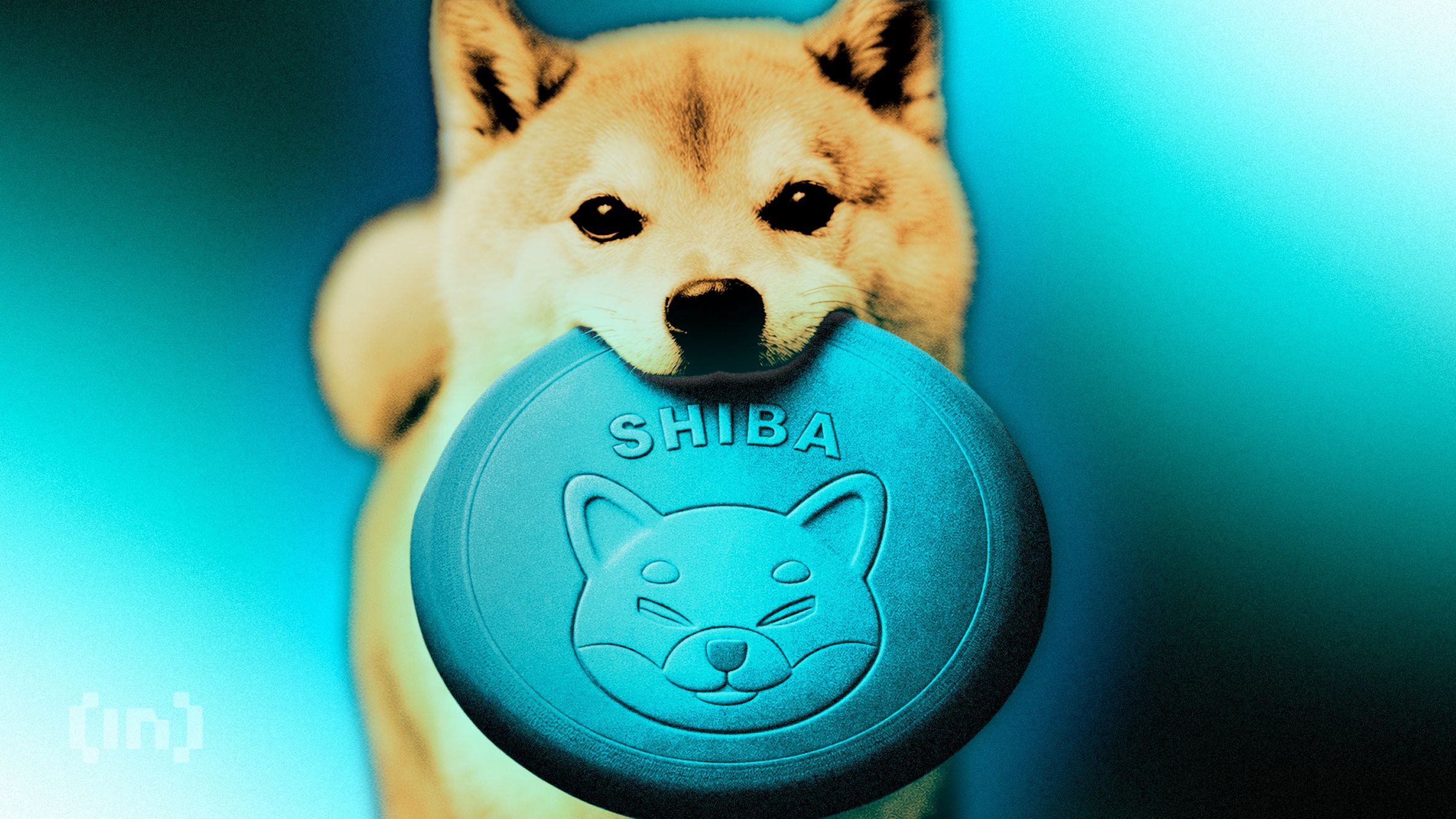 Asteroid Shiba Gains 920% After Musk Names SpaceX Mascot, But One Trader Misses Big