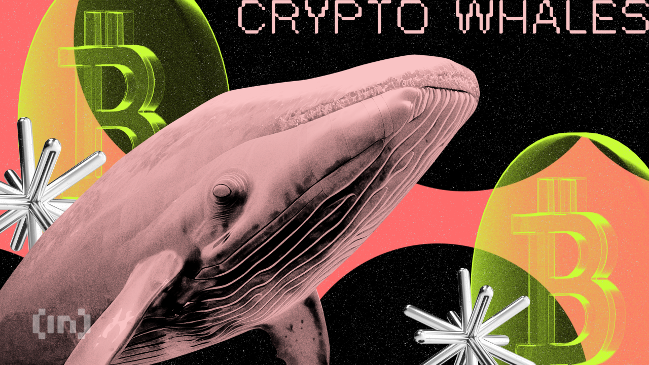 Les achats des baleines crypto pour profiter d’Uptober