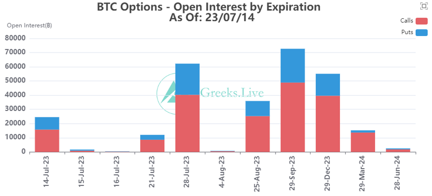 BTC Optionen