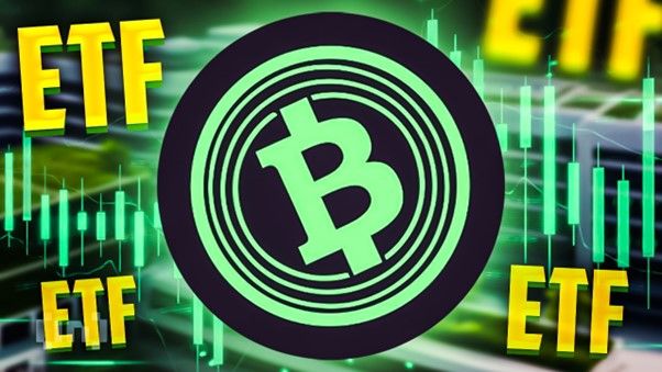 Dieser Coin profitiert vom Hype um Bitcoin-ETFs – Analysten sehen großes Kurspotenzial 
