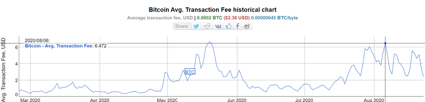 6 months of BTC fees 