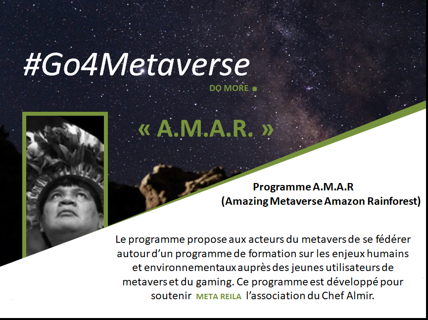 Le métavers : un moyen de sauver la forêt amazonienne ?