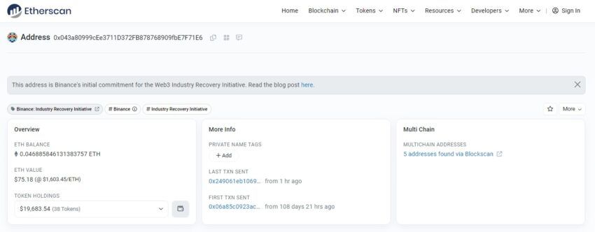 Địa chỉ Ví Sáng kiến ​​Phục hồi Ngành Binance: Etherscan