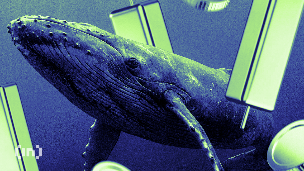 Rebond en vue ? Les baleines crypto achètent 3 tokens en masse