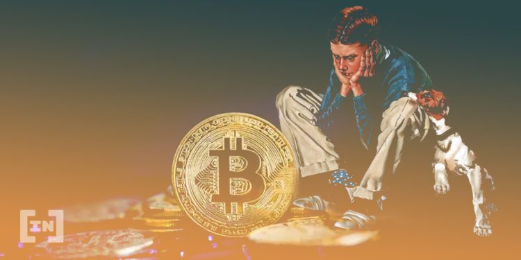 BTCD | pl.beincrypto.com