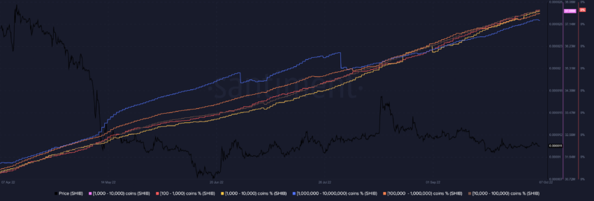 Liczba wielorybów SHIB