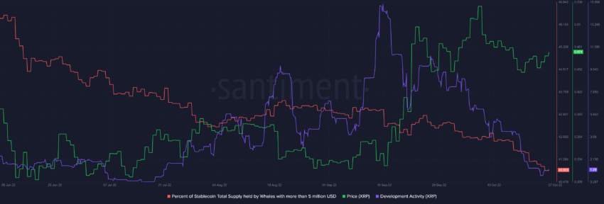 XRP - aktywność wielorybów