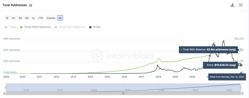 Coraz więcej hodlerów BTC