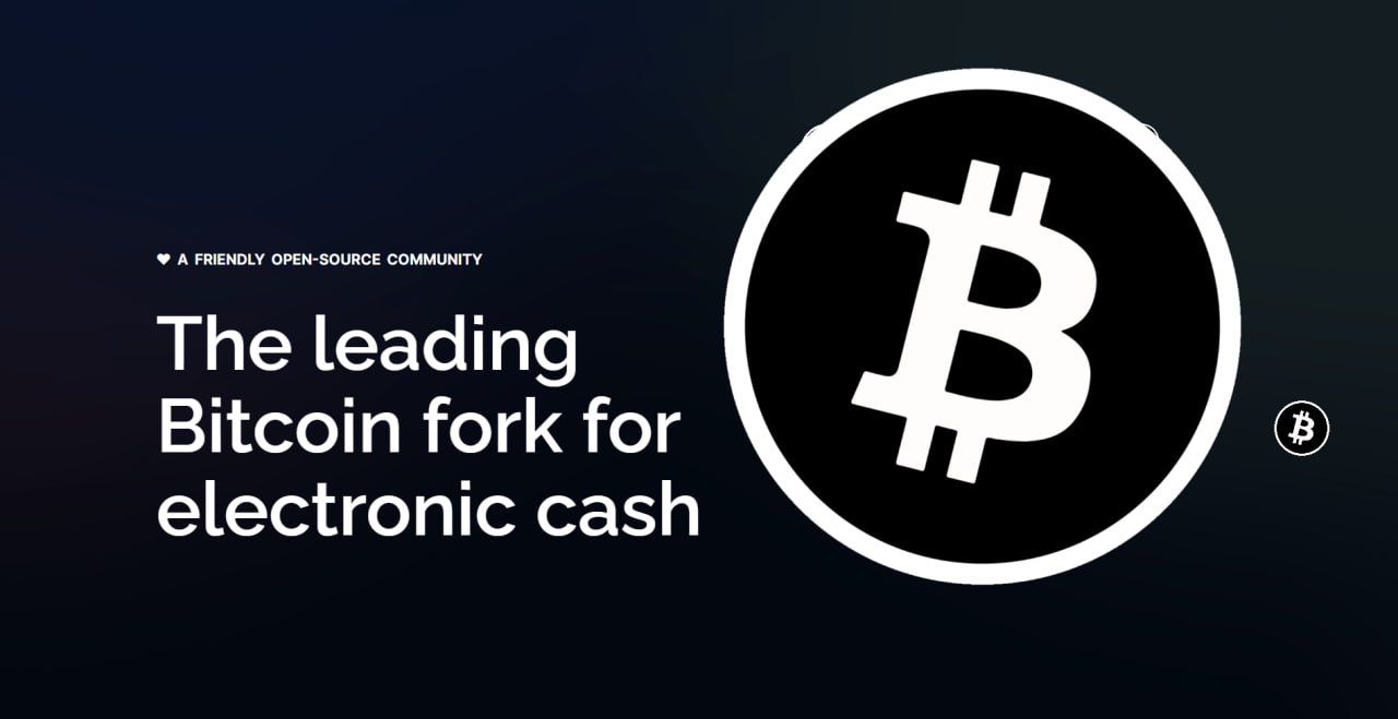 Bitnet: The Innovative Hybrid Cryptocurrency