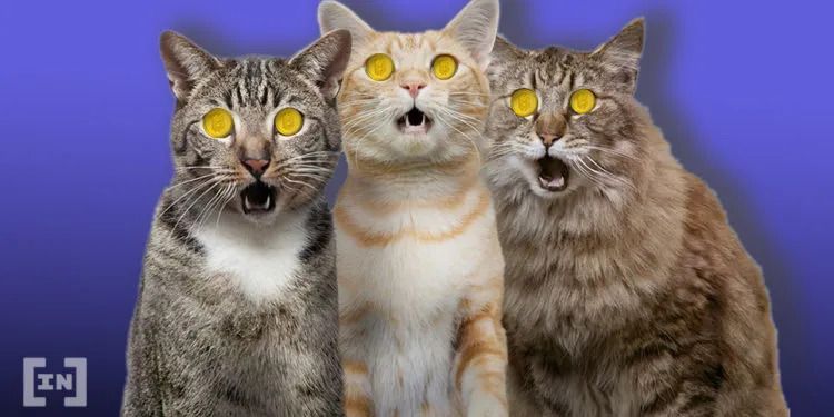 Explicando as taxas do Bitcoin