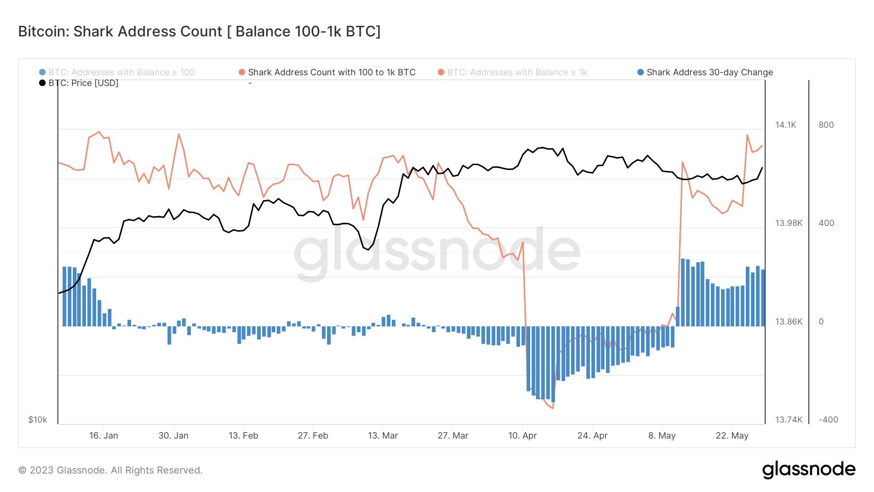 عدد عنوانين محافظ البيتكوين 100- 1000 BTC