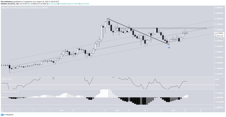 Algorands Entwicklung. 