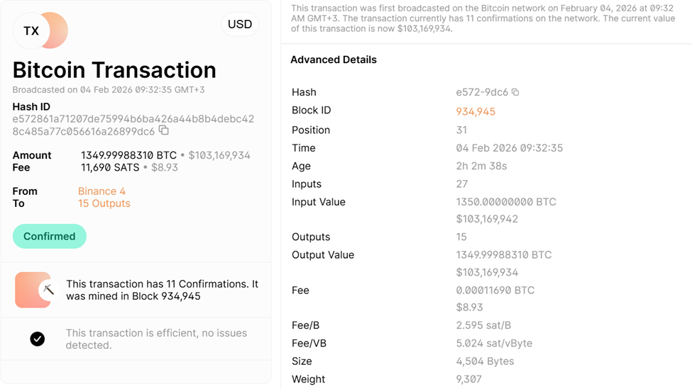 Binance Converts $100 Million in USDC to BTC
