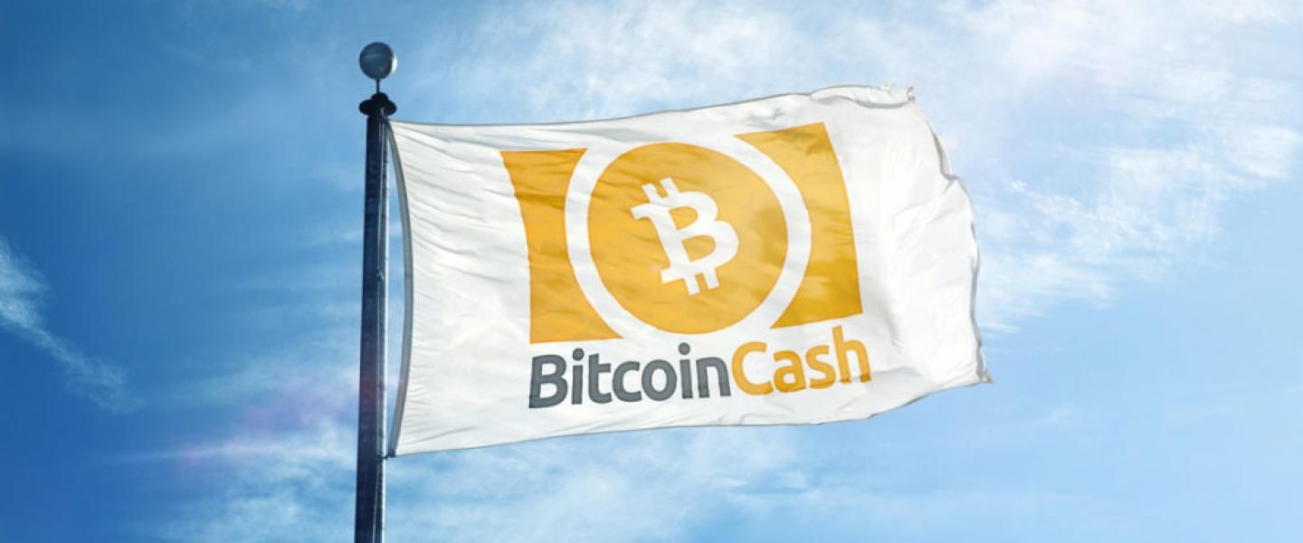 Bitcoin Cash Stumbling Down: A Look At BCH with Euros and Dollars