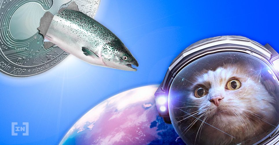 Ripple Wants to Use Gateways and IOUs to Boost xRapid Adoption