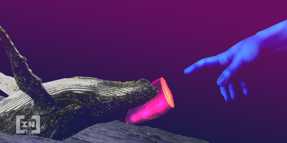 Đàn cá voi sẽ không để Bitcoin giảm xuống dưới 30.000 đô la!