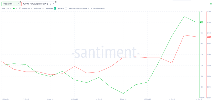 Quant (QNT) Crypto Whales Wallet Balances. June 2023 киты