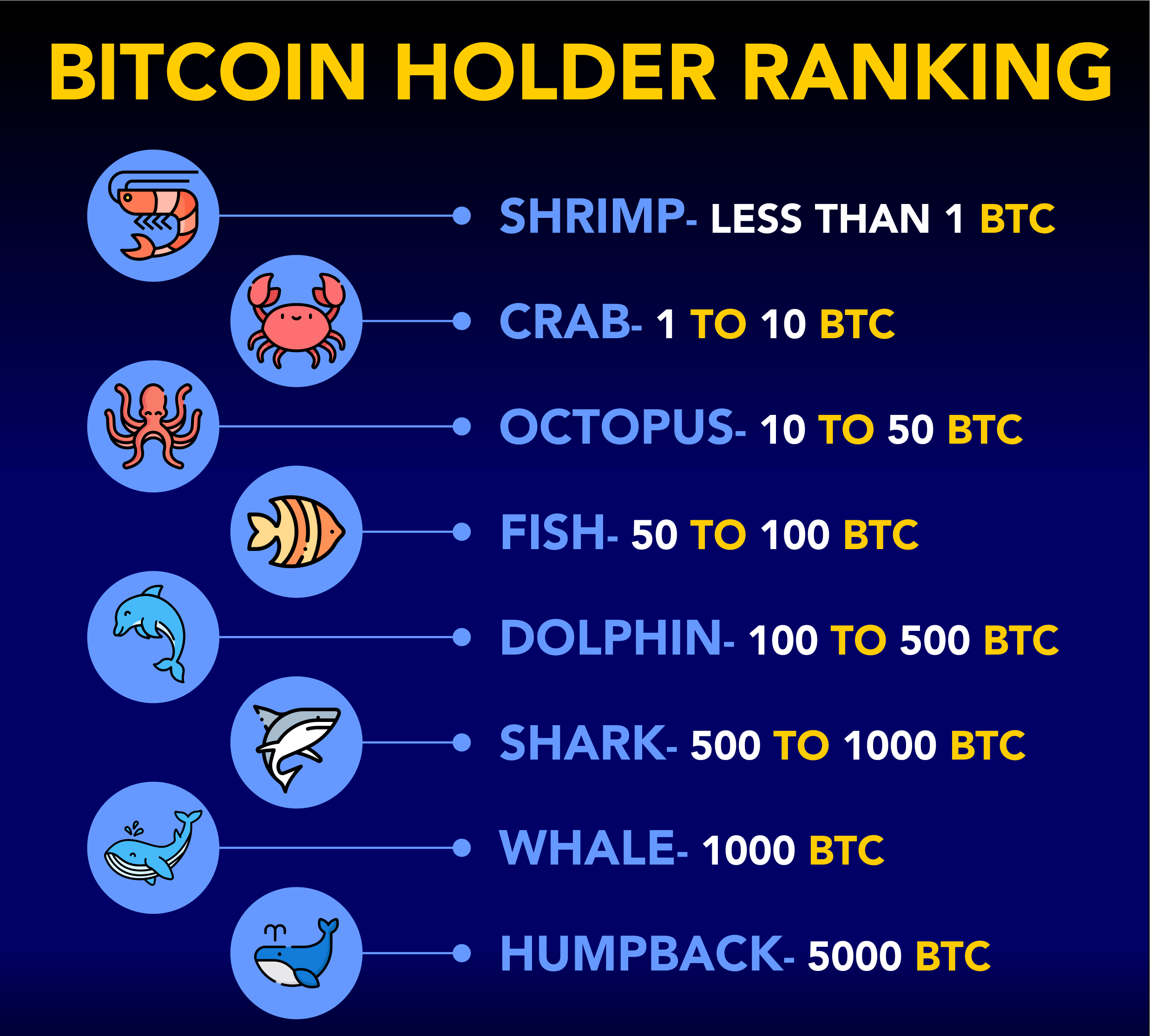 Hodlerzy Bitcoin