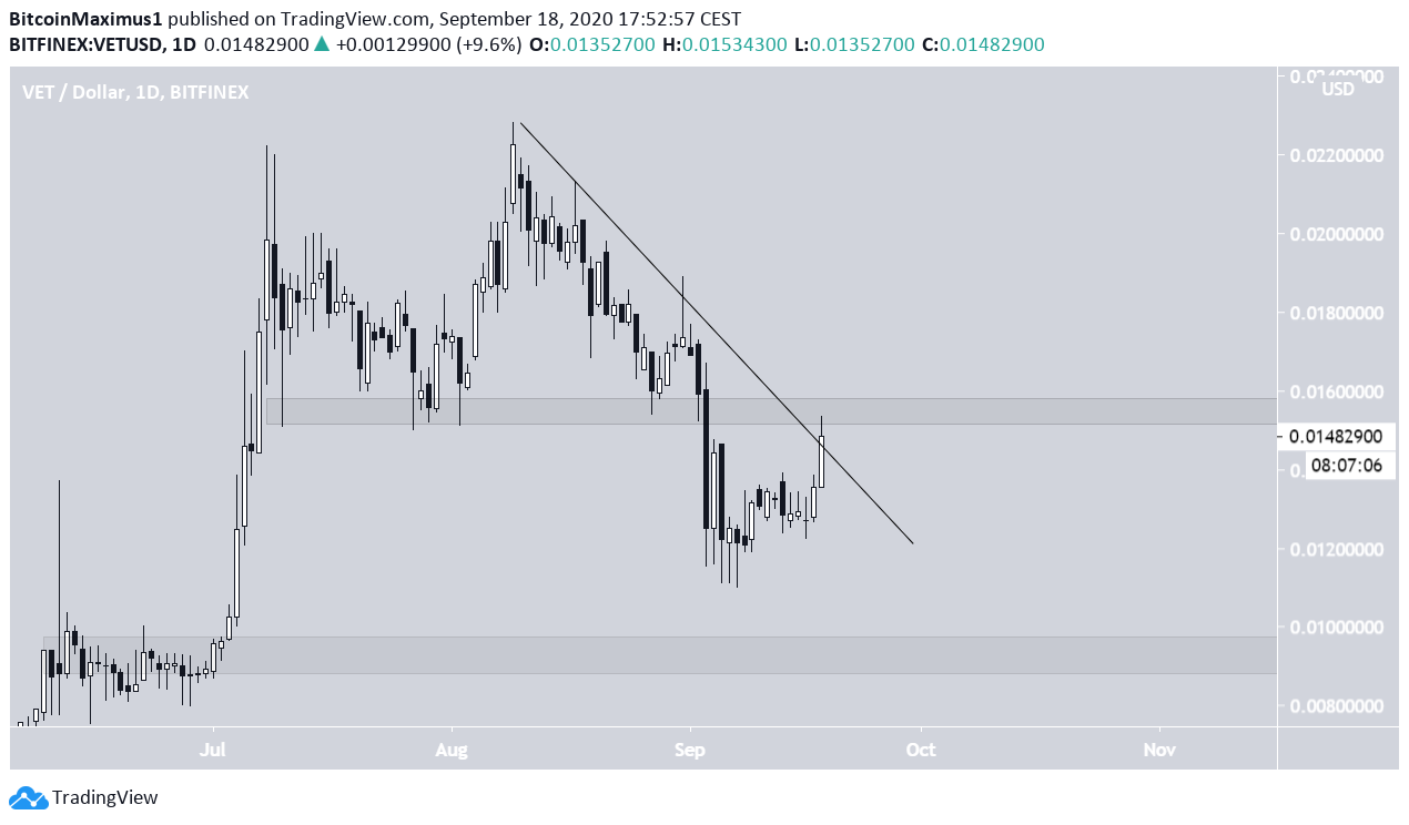 VET Long-Term Support