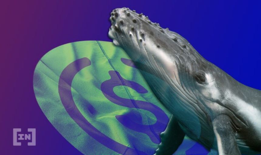 USDC 스테이블코인 성장을 위해 미국 바깥으로 눈돌리는 코인베이스