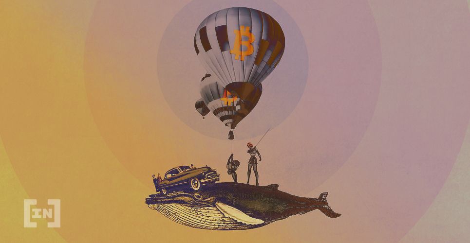 bitcoin whale