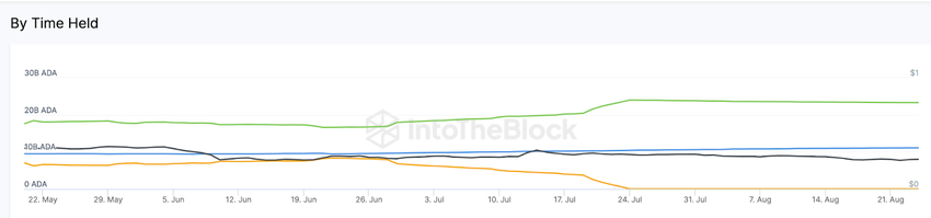 Cardano Long-Term Investors Could Turn the Tide | Coins By Time Held, Aug 2023
