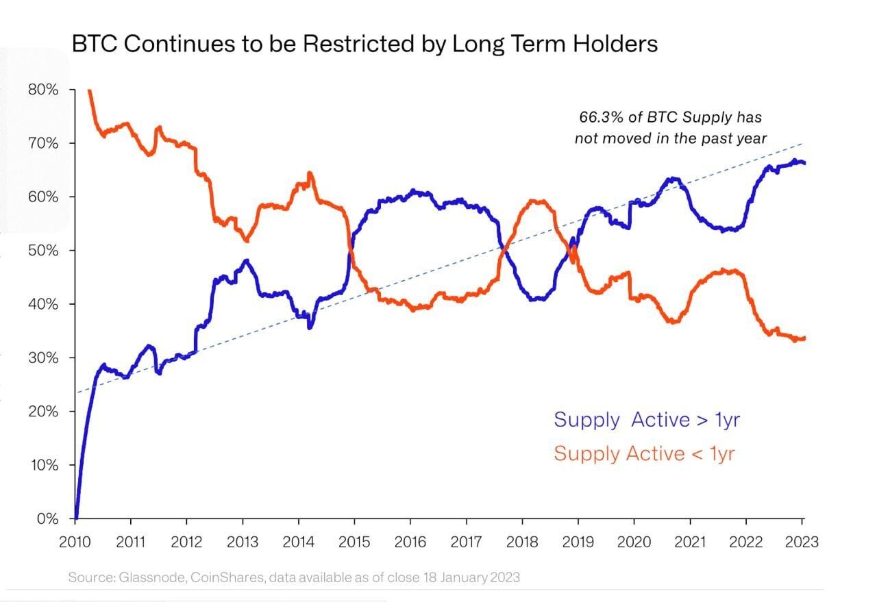 Długoterminowi posiadacze BTC