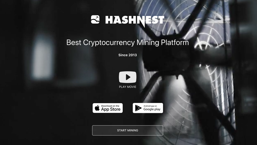hashnest