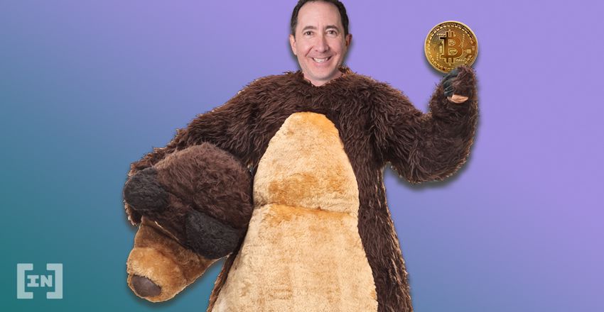 bitcoin hedge bear