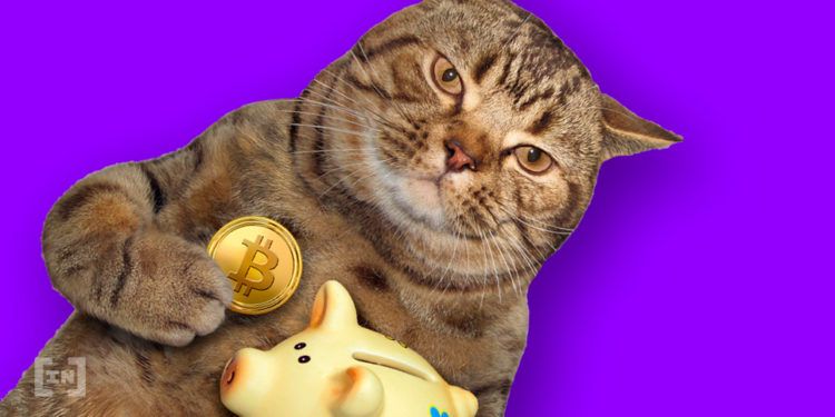 KT의 지역화폐 발행, 어디까지? 익산 ‘다이로움’ 발행, 정말 효과 있을까?