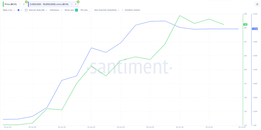 Bitcoin Cash (BCH) Whales – June 2023 | Whales Wallet Balance