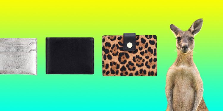 Crypto Newbie : le meilleur portefeuille Bitcoin